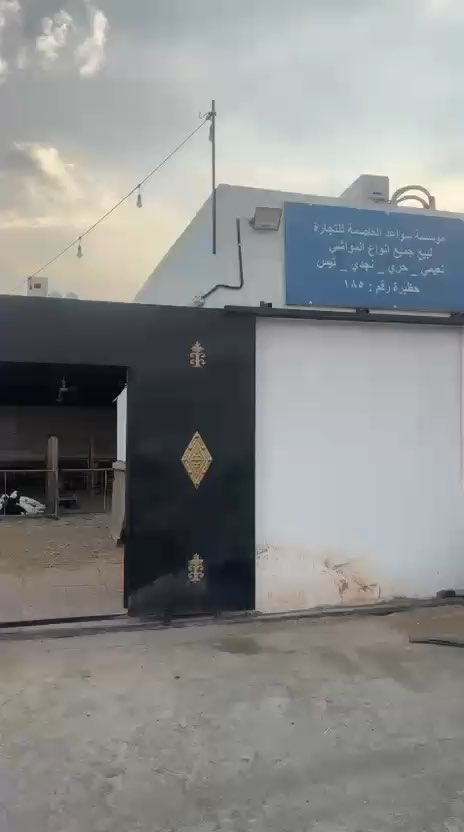 فيديو للإعلان