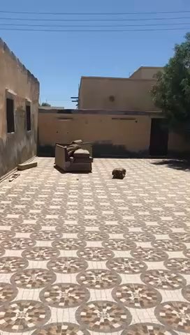 فيديو للإعلان