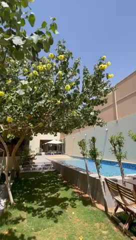 فيديو للإعلان