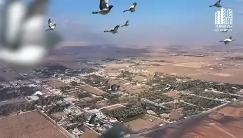فيديو للإعلان