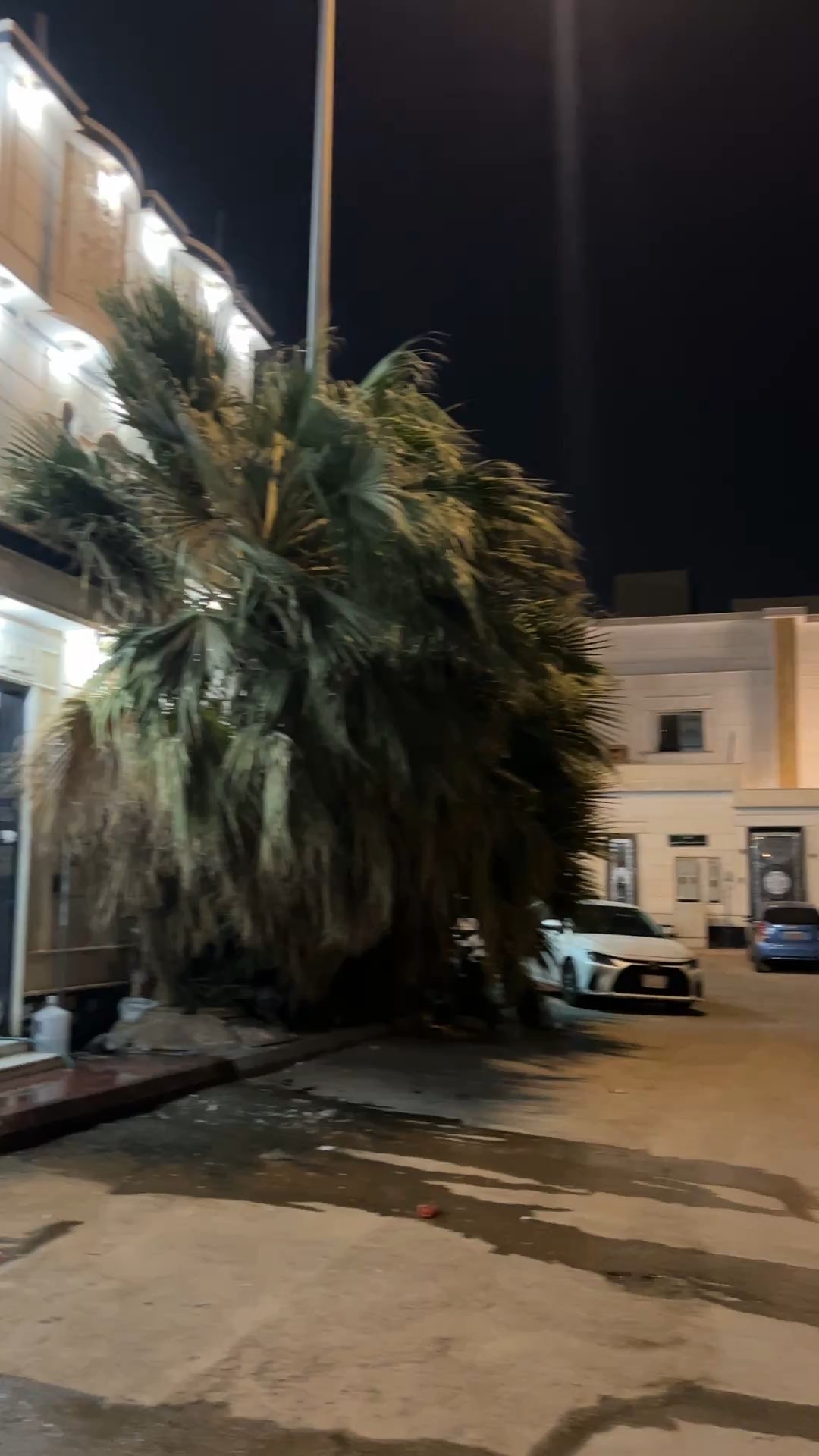  الفيديوهات