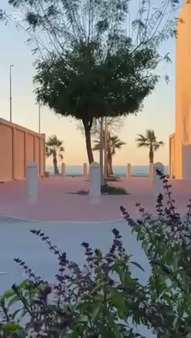 فيديو للإعلان
