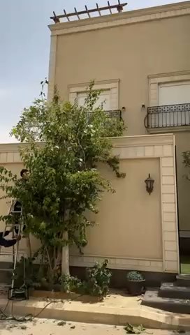 فيديو للإعلان
