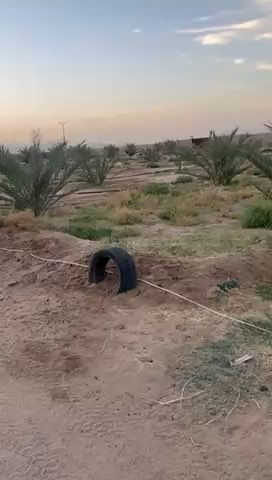 فيديو للإعلان