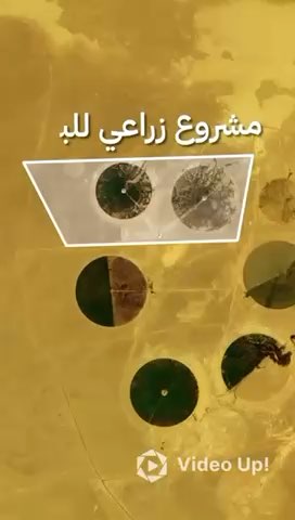 فيديو للإعلان