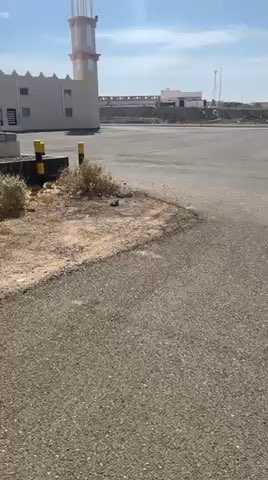 فيديو للإعلان