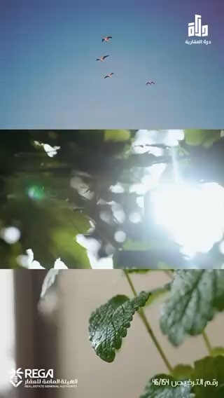 فيديو للإعلان