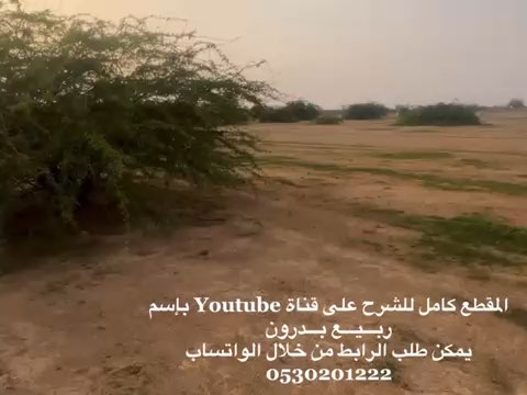 فيديو للإعلان