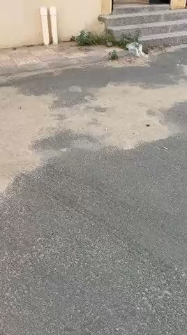 فيديو للإعلان