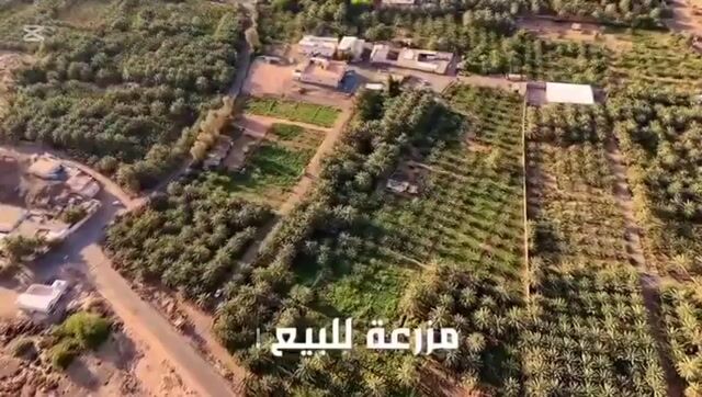 فيديو للإعلان