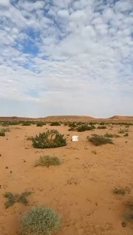 فيديو للإعلان