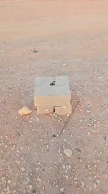 فيديو للإعلان