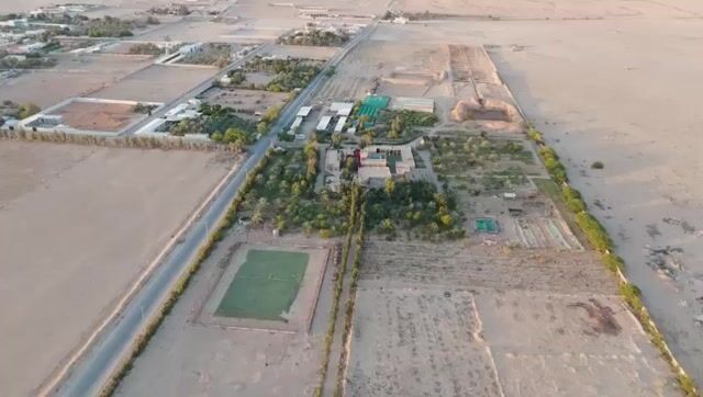 فيديو للإعلان