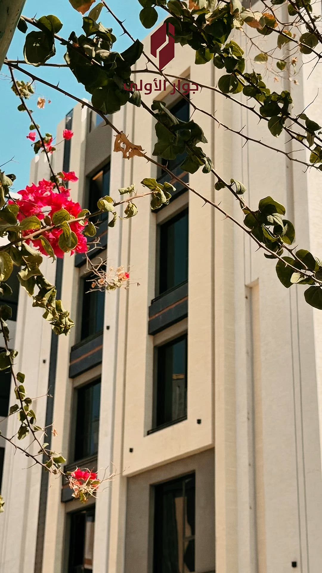 فيديو للإعلان