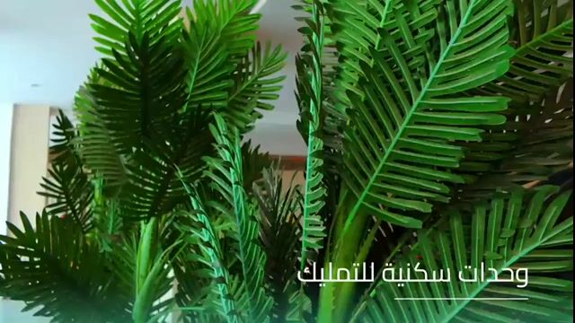 فيديو للإعلان