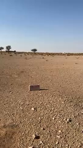 فيديو للإعلان