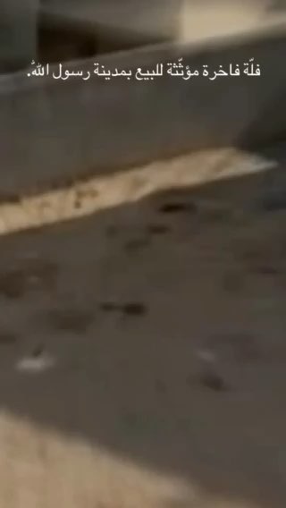 فيديو للإعلان