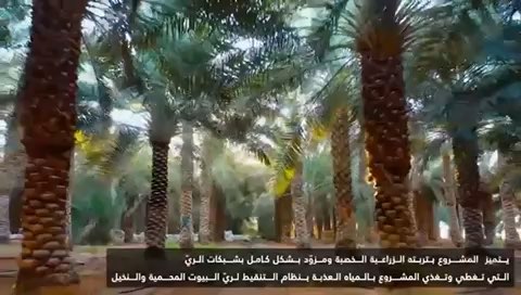 فيديو للإعلان