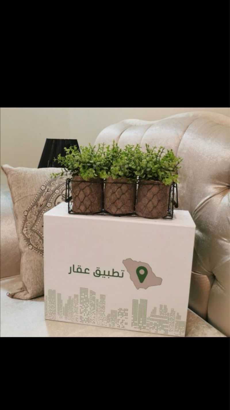 صورة المستخدم